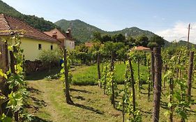 Guest house Aleksej